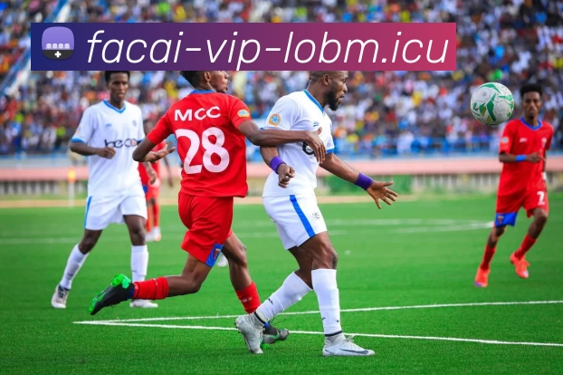 乐鱼体育APP 体育赛事宣传图